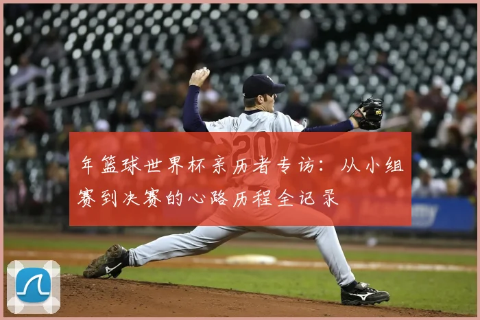 年篮球世界杯亲历者专访：从小组赛到决赛的心路历程全记录