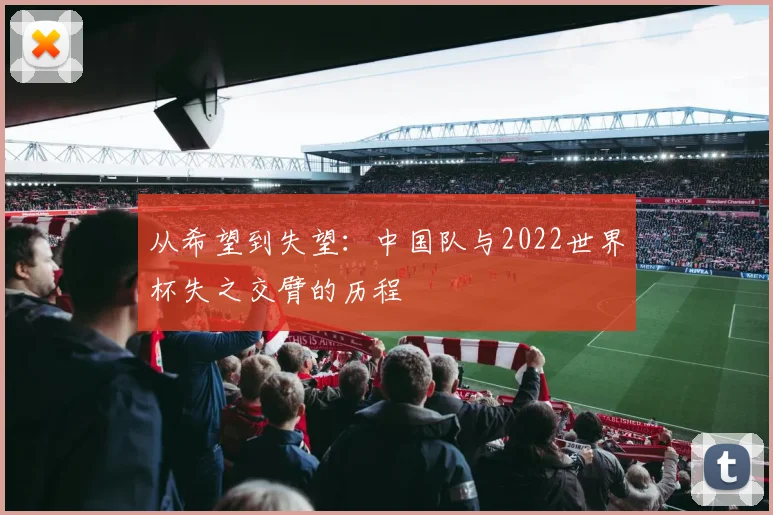 从希望到失望:中国队与2022世界杯失之交臂的历程