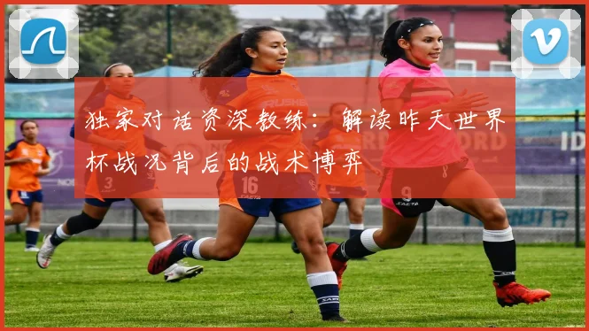 独家对话资深教练：解读昨天世界杯战况背后的战术博弈
