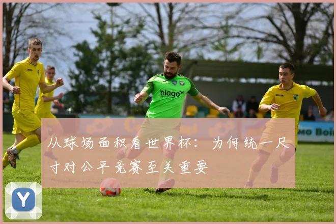 从球场面积看世界杯：为何统一尺寸对公平竞赛至关重要