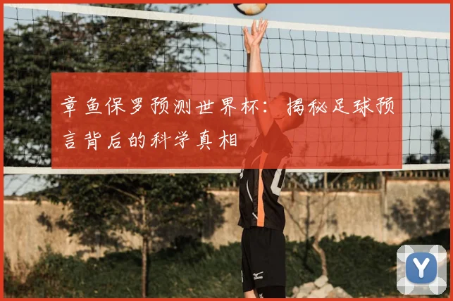 章鱼保罗预测世界杯:揭秘足球预言背后的科学真相