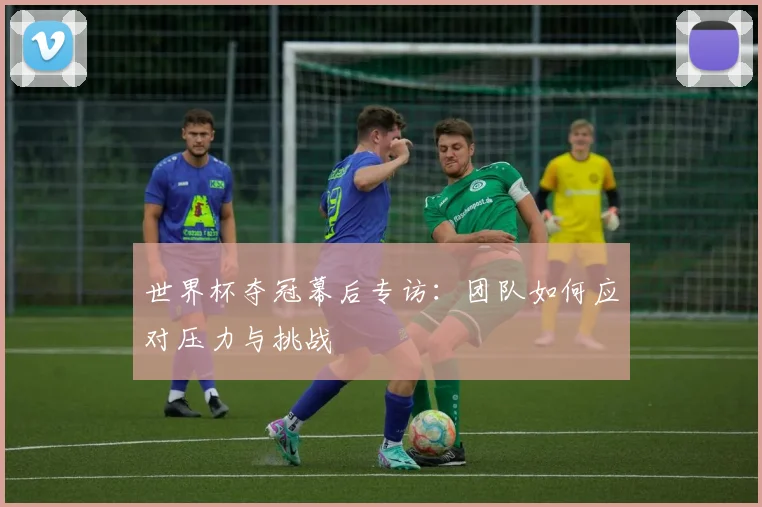 世界杯夺冠幕后专访:团队如何应对压力与挑战