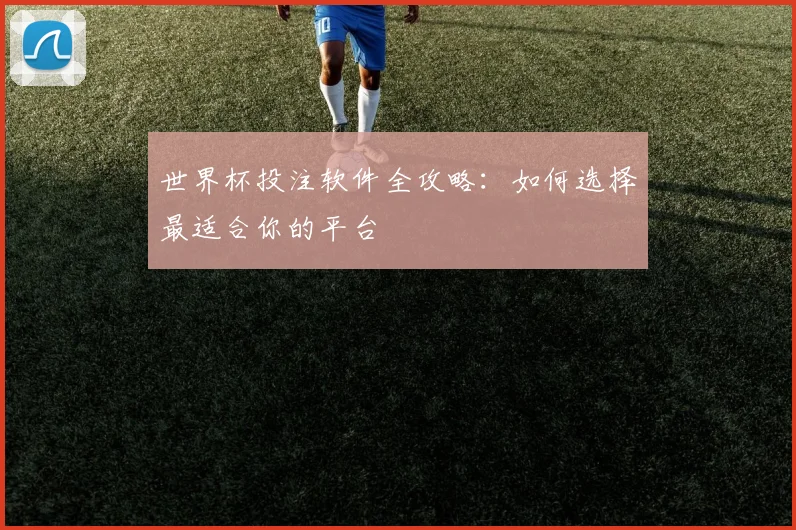 世界杯投注软件全攻略：如何选择最适合你的平台