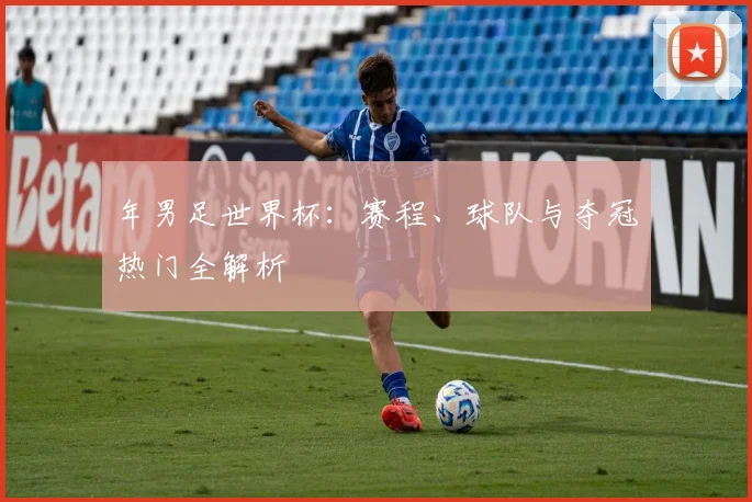 年男足世界杯：赛程、球队与夺冠热门全解析