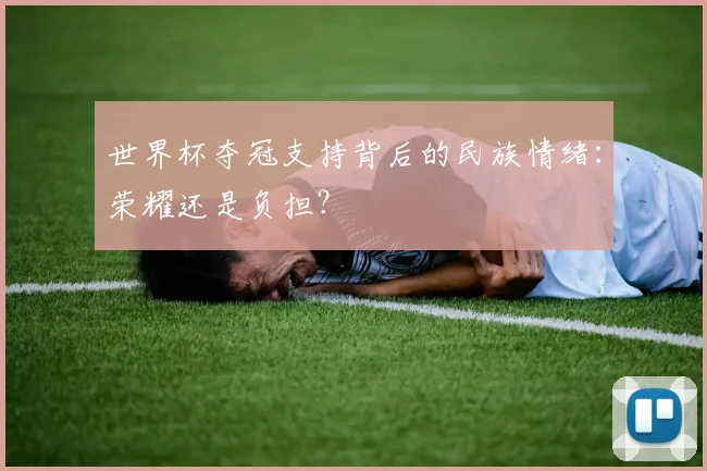 世界杯夺冠支持背后的民族情绪:荣耀还是负担?