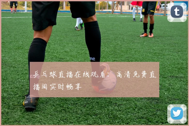 乒乓球直播在线观看：高清免费直播间实时畅享