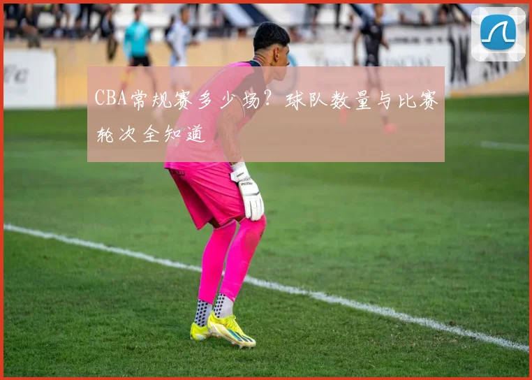 CBA常规赛多少场？球队数量与比赛轮次全知道