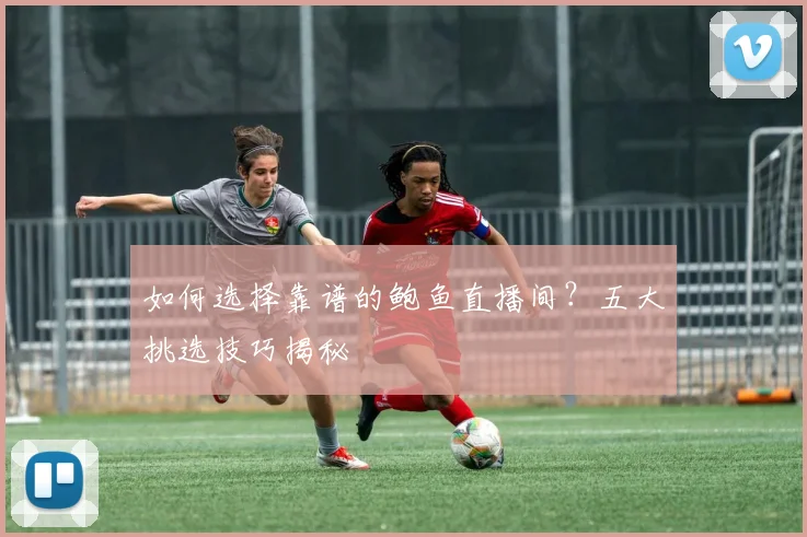 如何选择靠谱的鲍鱼直播间？五大挑选技巧揭秘